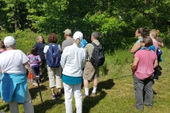 Faline-Forager-Photo