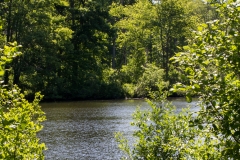 Land-trust-and-Great-Swamp-7