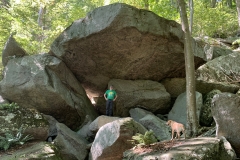 CePuD6MNRYWJ0J3Dp2mmTA