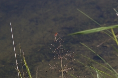 Nature Hike at Deer Pond Farm 2018