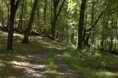 Nature Hike at Deer Pond Farm 2018