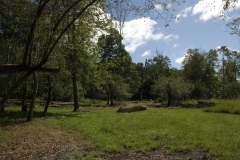 Nature Hike at Deer Pond Farm 2018