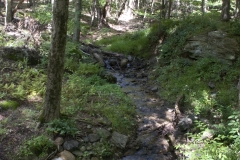 Nature Hike at Deer Pond Farm 2018