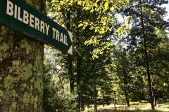 Nature Hike at Deer Pond Farm 2018