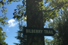 Nature Hike at Deer Pond Farm 2018
