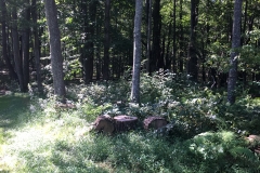 Nature Hike at Deer Pond Farm 2018
