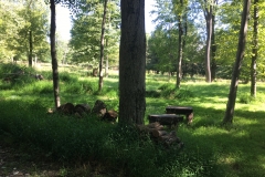 Nature Hike at Deer Pond Farm 2018