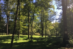 Nature Hike at Deer Pond Farm 2018