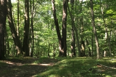 Nature Hike at Deer Pond Farm 2018