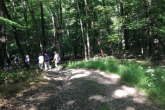 Nature Hike at Deer Pond Farm 2018