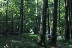 Nature Hike at Deer Pond Farm 2018