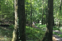 Nature Hike at Deer Pond Farm 2018