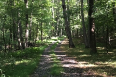 Nature Hike at Deer Pond Farm 2018