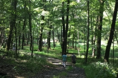 Nature Hike at Deer Pond Farm 2018