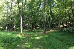 Nature Hike at Deer Pond Farm 2018