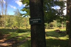 Nature Hike at Deer Pond Farm 2018