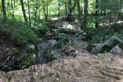 Nature Hike at Deer Pond Farm 2018