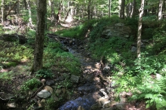 Nature Hike at Deer Pond Farm 2018