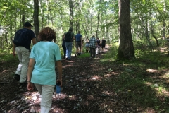 Nature Hike at Deer Pond Farm 2018