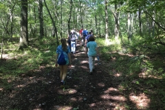 Nature Hike at Deer Pond Farm 2018