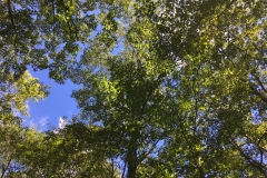 Nature Hike at Deer Pond Farm 2018