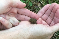 Nature Hike at Deer Pond Farm 2018