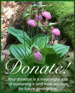 Donate to the Candlewood Valley Regional Land Trust